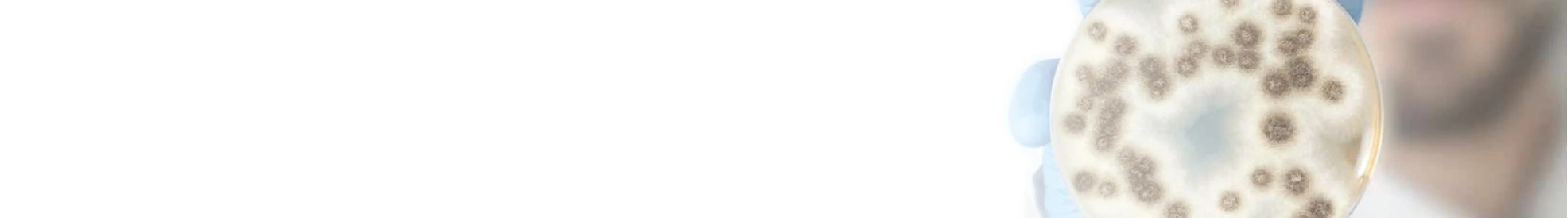 وسائط الزراعة البكتيرية من Scharlau